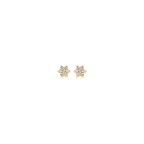 14k Prong Diamond Flower Studs