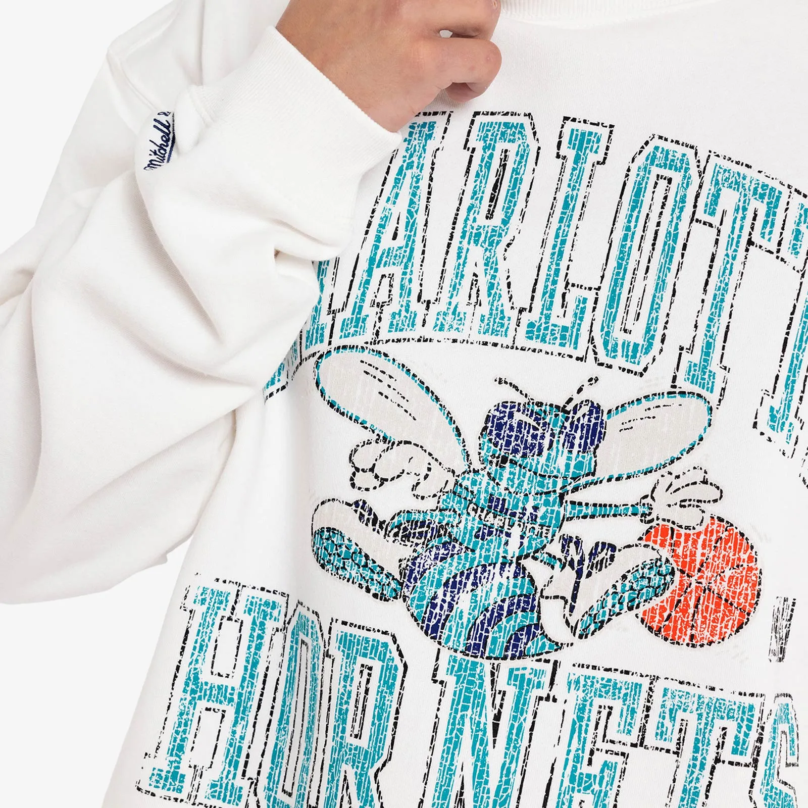 Charlotte Hornets Ivy Arch Crew Sweatshirt - Vintage White