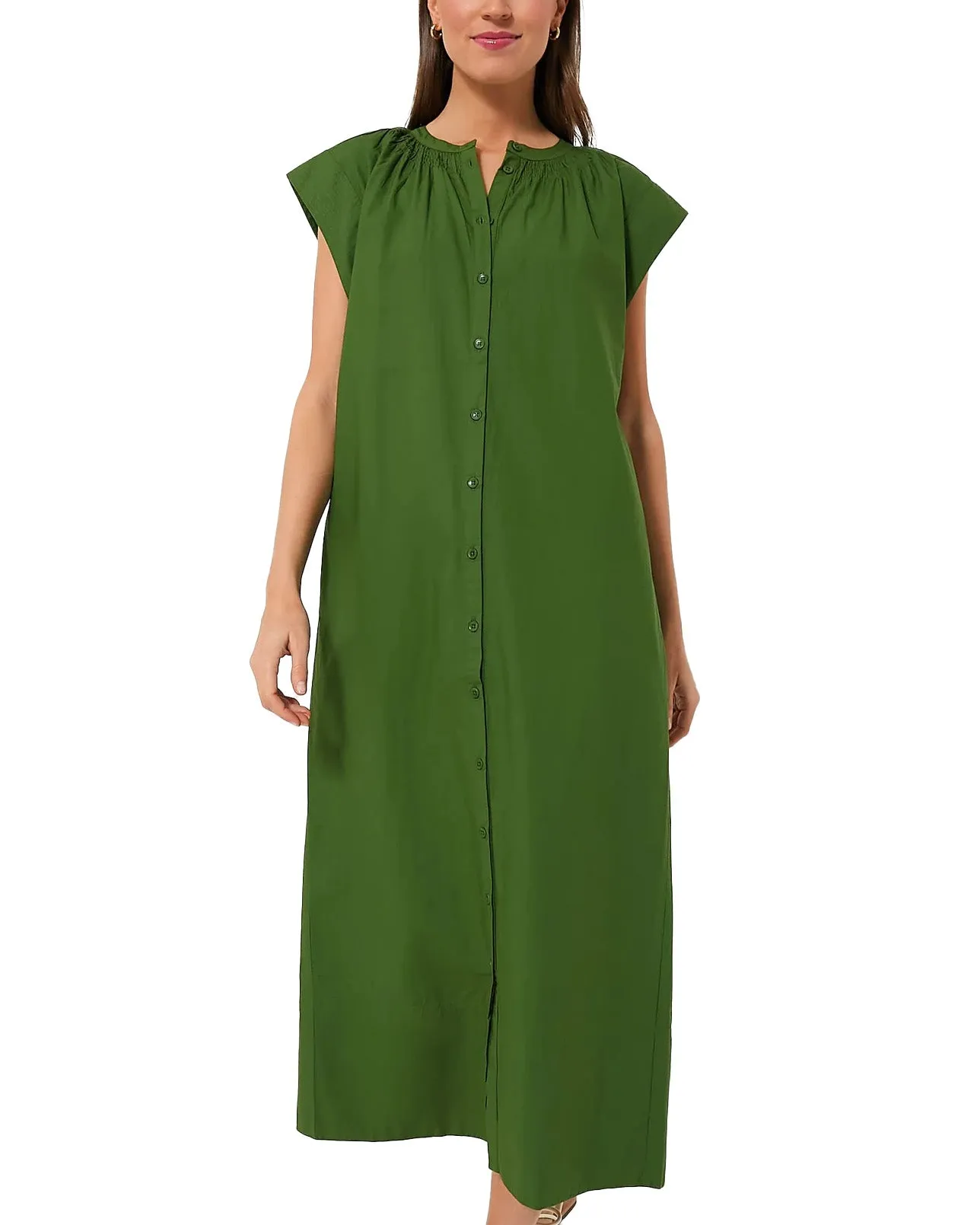 Mirada Shirtwaist Dress (Jardin)