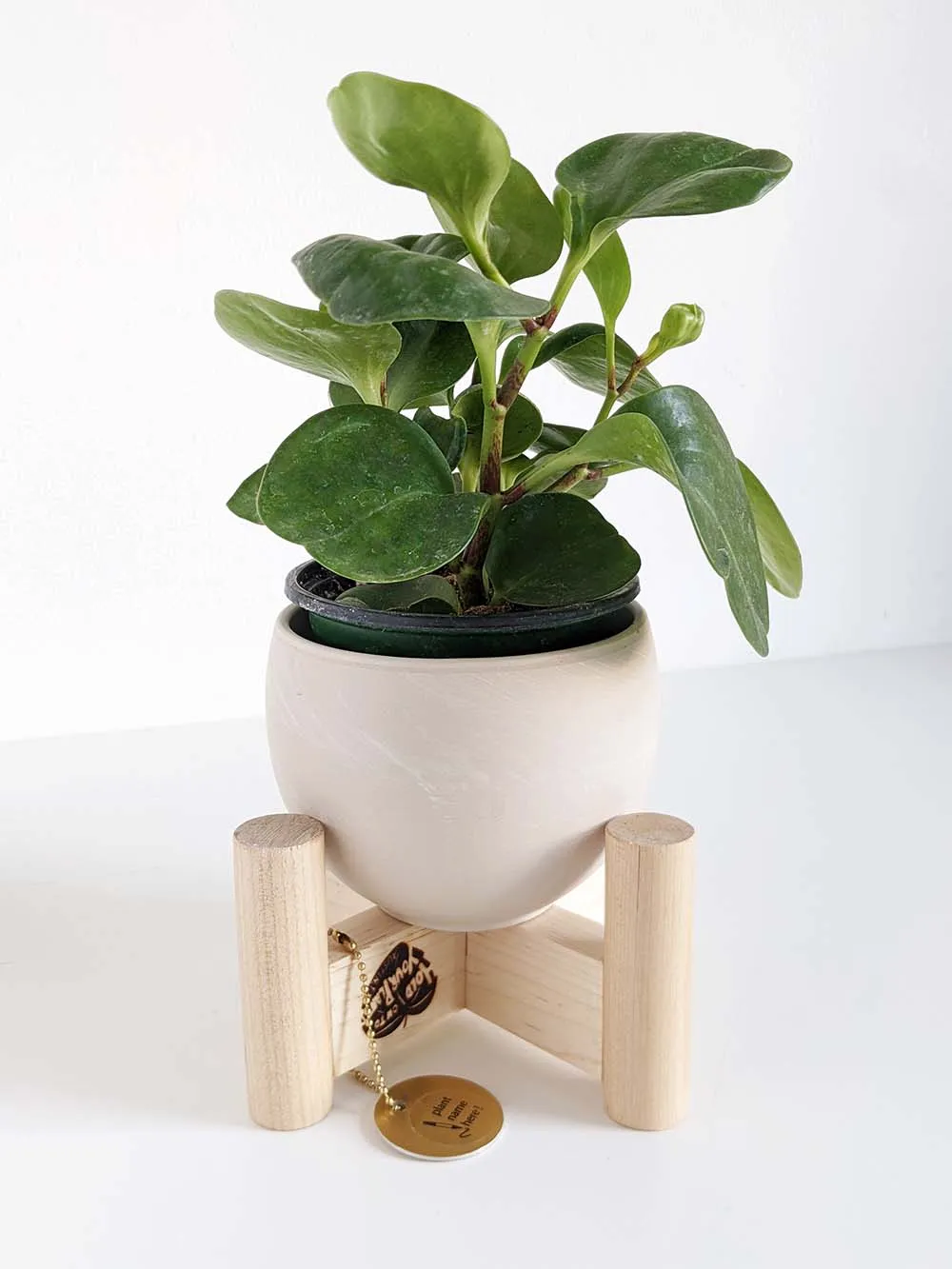 Modern Mini Plant Stand