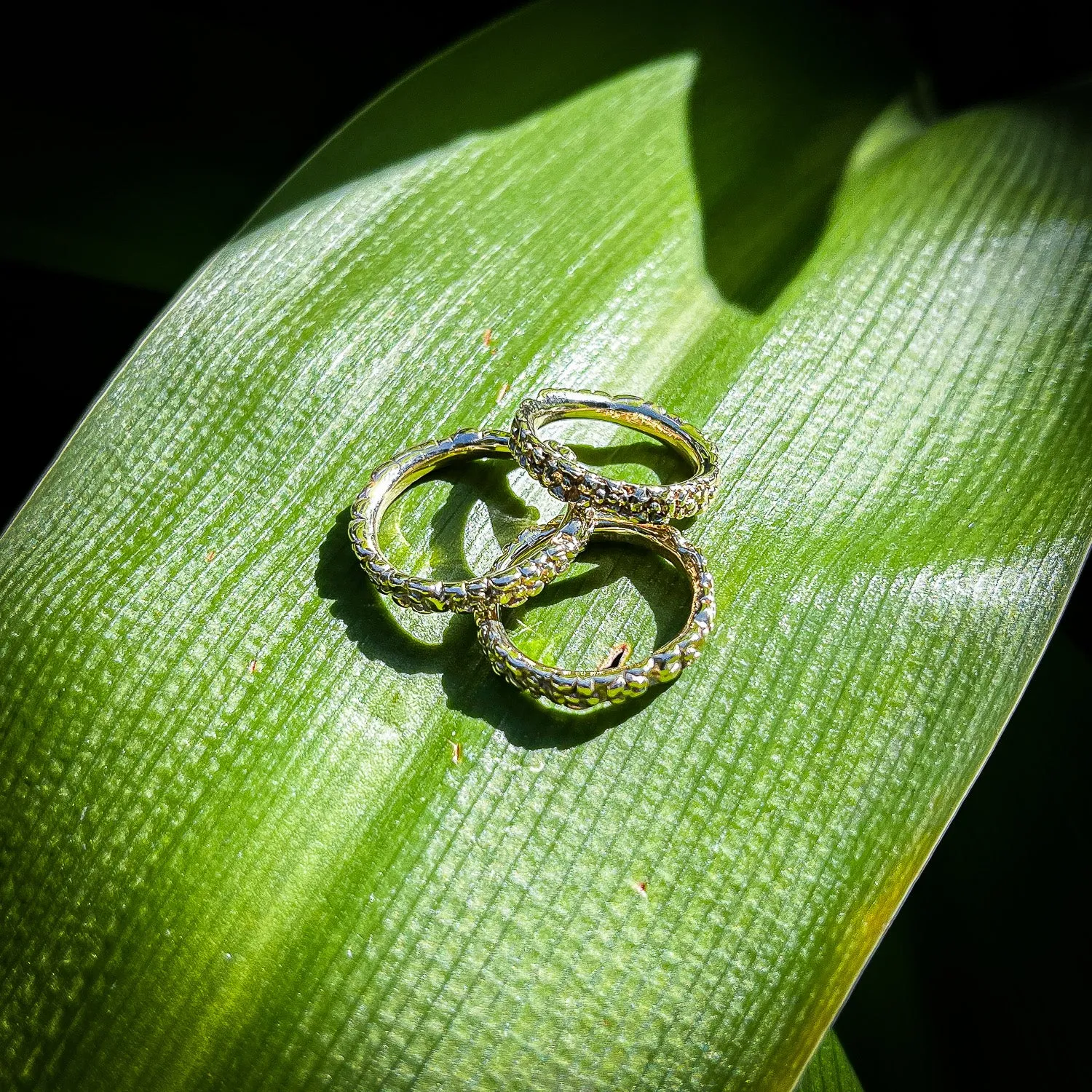 Posie Chain Ring Gold