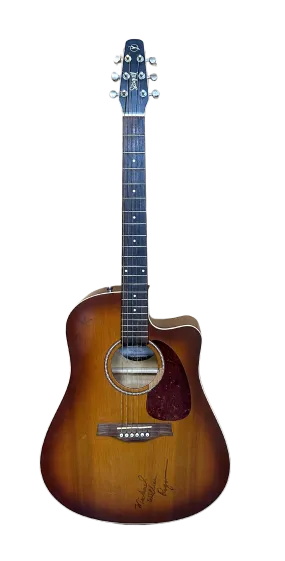 Seagull Guitars Seagull Entourage Rustic Acoustic Guitar