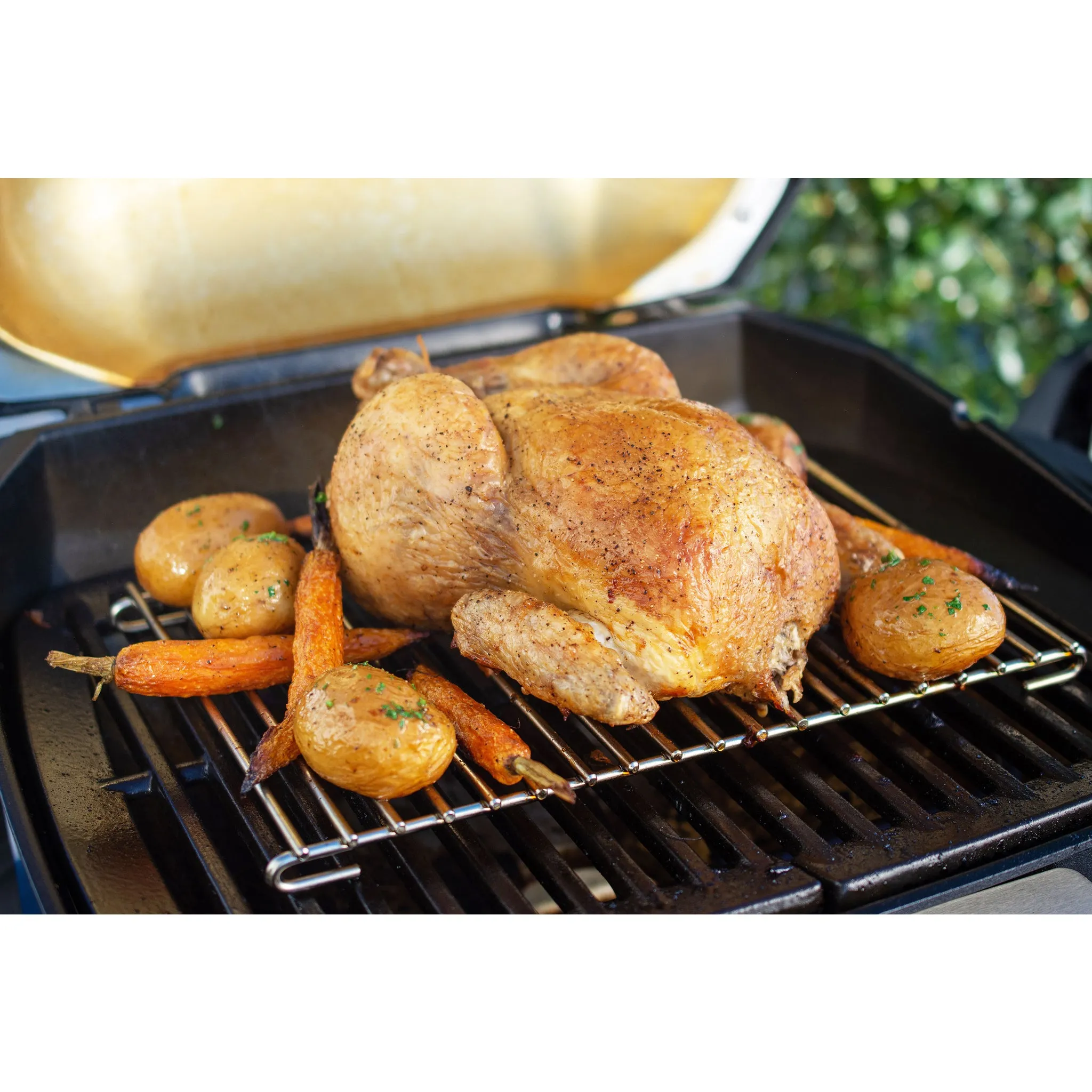 Weber Pulse 1000 Roasting Trivet