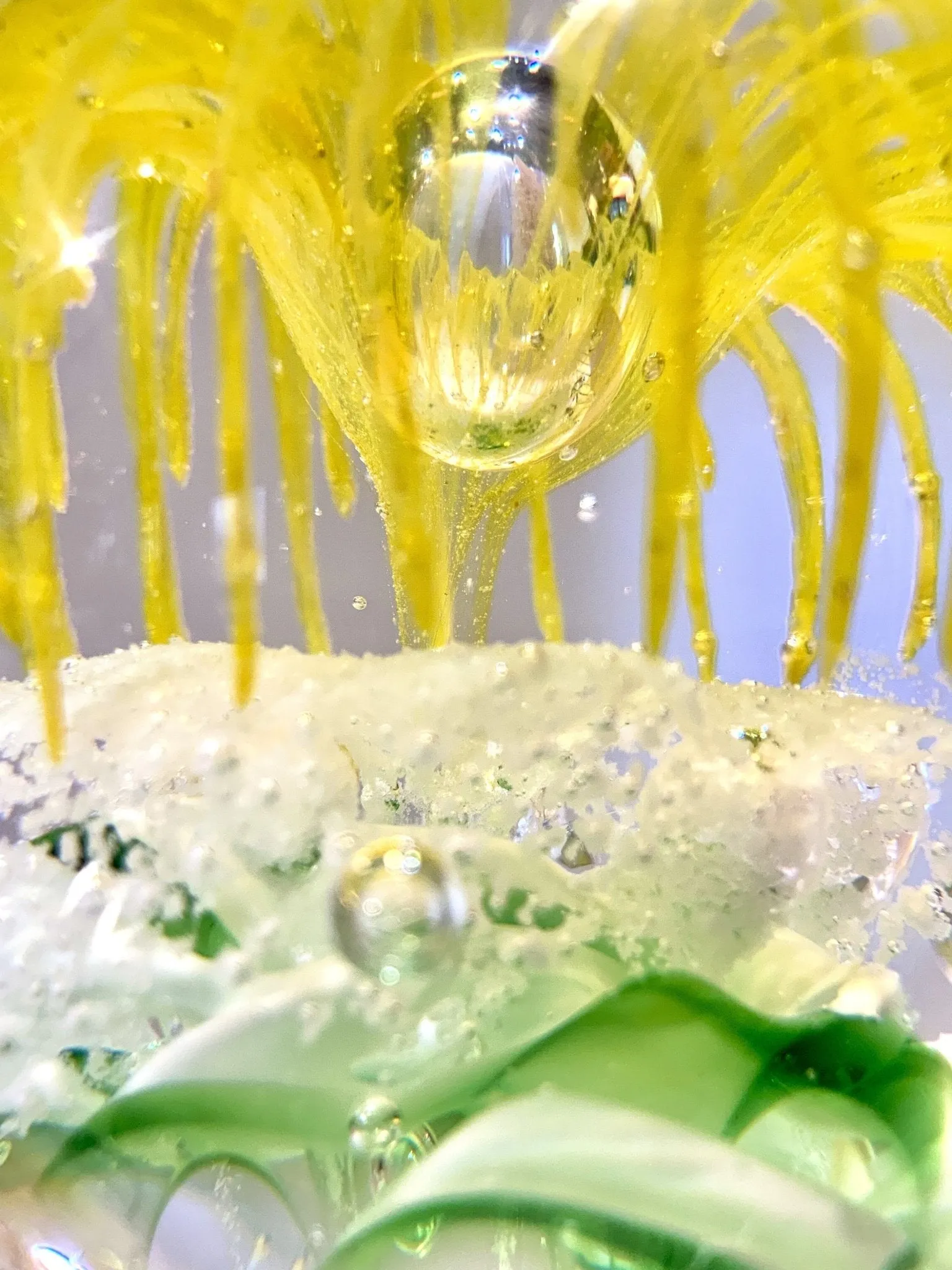 Yellow Daisy Paperweight